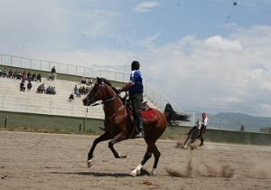Haydi Dadaşlar, Cirite...